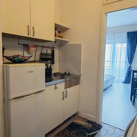 Niko Apartman *